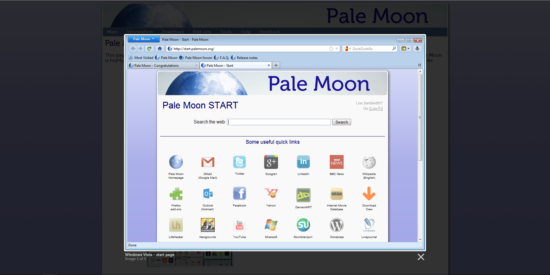 pale moon browser review